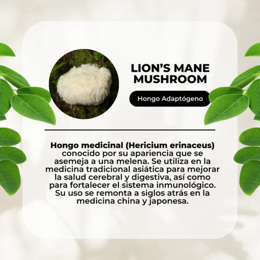 Melena De Leon Hongo 500mg - 60 Capsula Vegetal - Memoria