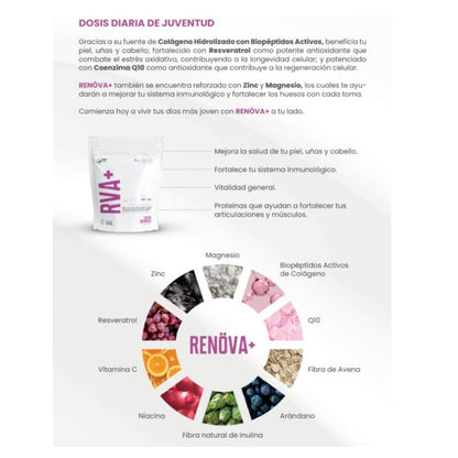 Pack 2 Renova+ Dosis Diaria De Juventud Resveratrol Colageno Y Vit.