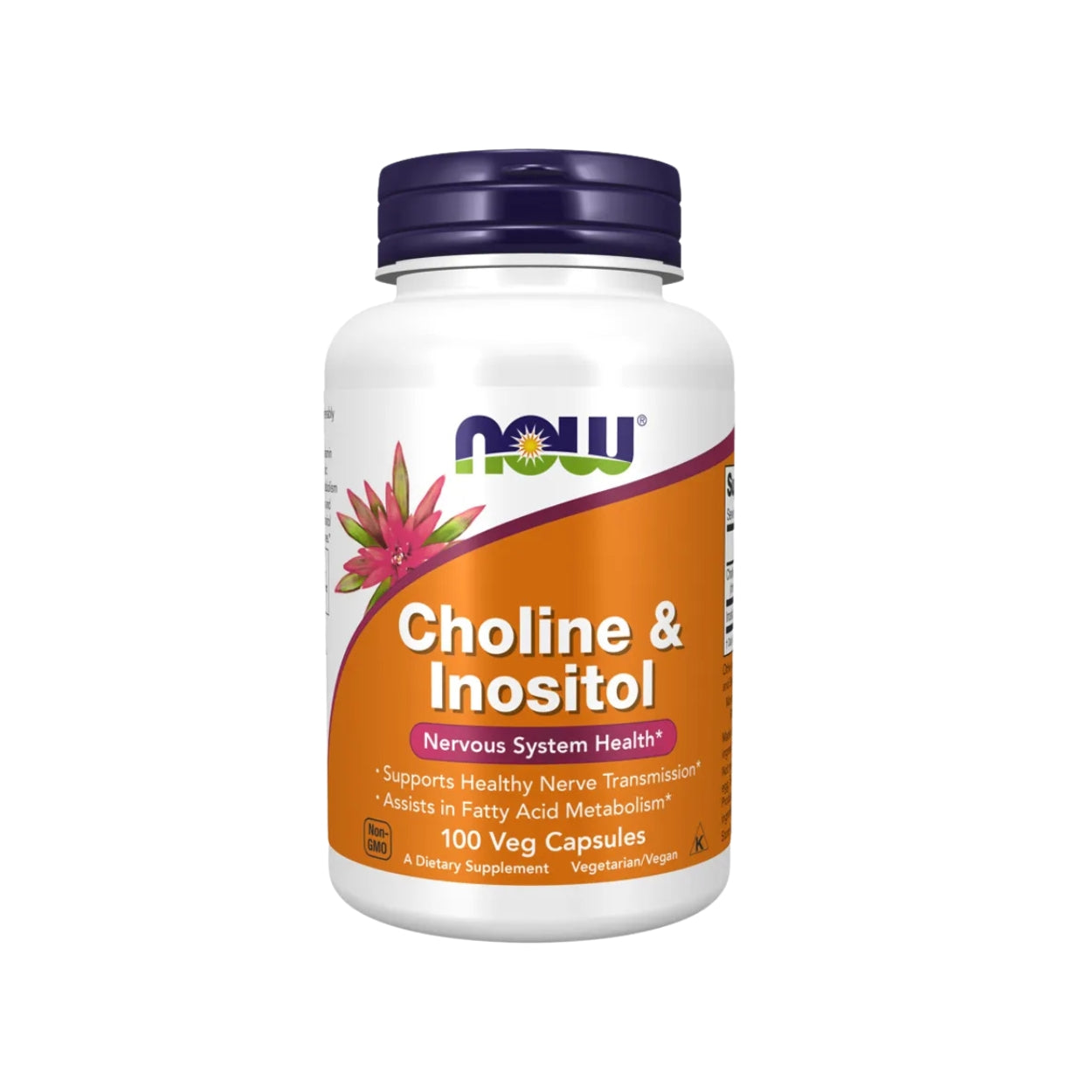 Choline & Inositol / Colina Inositol 100caps Now Foods